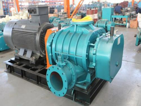 1633865741361258.jpg 1633865741361258.jpg