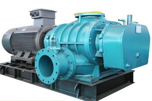 1633867488777448.jpg 1633867488777448.jpg