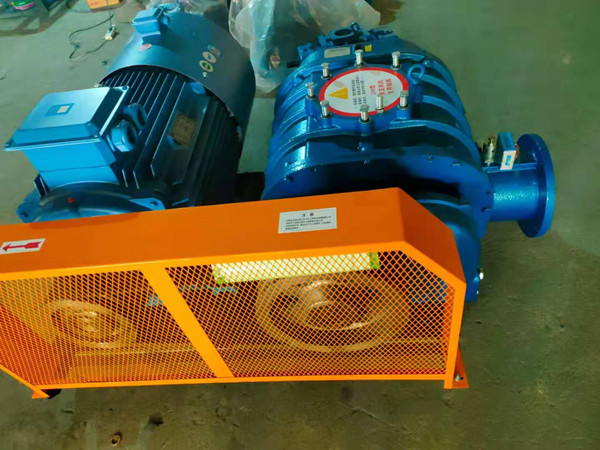 1633928321150748.jpg 1633928321150748.jpg