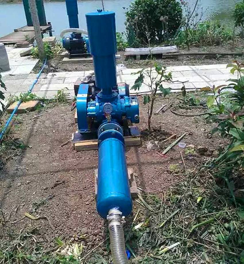 1634035016213956.jpg 1634035016213956.jpg